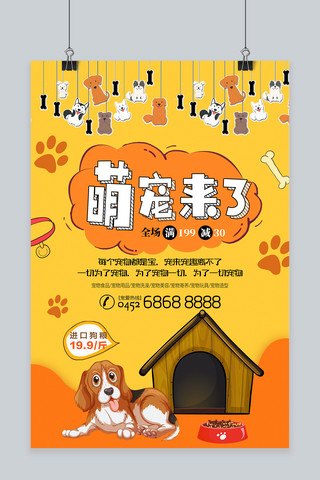 家猫卡通海报模板_时尚简约卡通宠物店海报