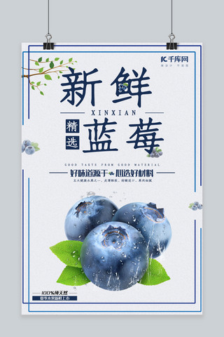 新鲜蓝莓简约清新海报