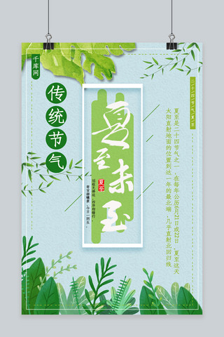 夏至植物海报模板_清新传统节气夏至海报