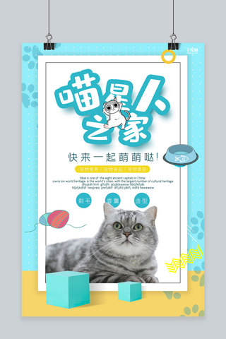 花样希望之星海报模板_创意蓝色几何喵星人之家宠物商店活动海报