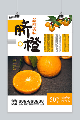 赣南脐橙海报海报模板_简约水果脐橙海报设计