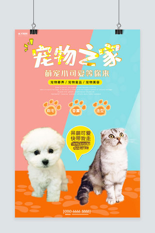 可爱造型海报模板_千库原创宠物店宣传海报