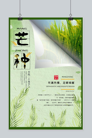 一支稻穗海报模板_芒种绿色稻田撕裂创意宣传海报