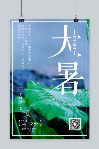 实拍海报模板_大气简约实拍荷叶大暑节气宣传海报