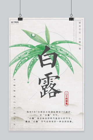 中国风手绘植物白露宣传海报