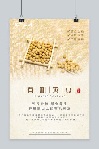 农产品黄豆简约风海报