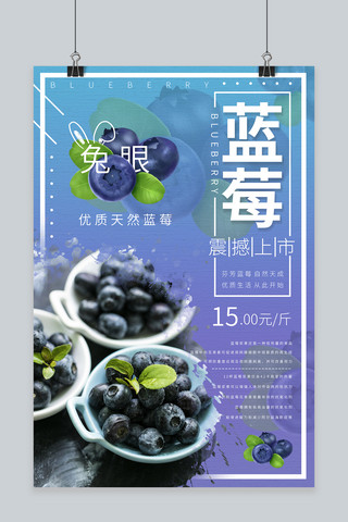 蓝莓产品促销海报