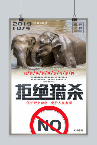 世界动物日保护动物拒绝猎杀公益宣传海报