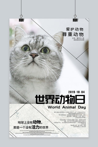 动物保护宣传海报海报模板_世界动物日保护动物宣传海报