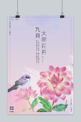 九月你好粉紫色手绘风十二花信之九月大丽花海报