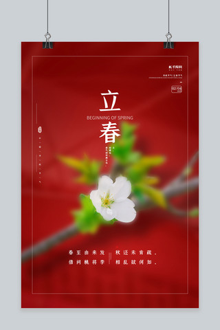 立春桃花红色简约创意海报