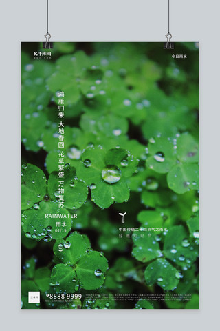 写实绿色海报模板_雨水绿叶绿色写实海报