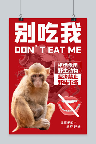 抗疫大气海报模板_拒绝野味猕猴红色大气海报