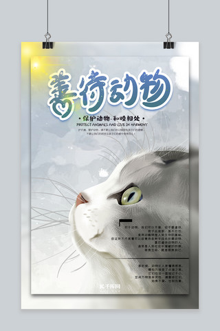 善待动物猫灰蓝色水彩风简约海报