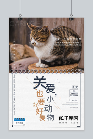 猫咪简约海报模板_善待动物猫咪白色简约海报