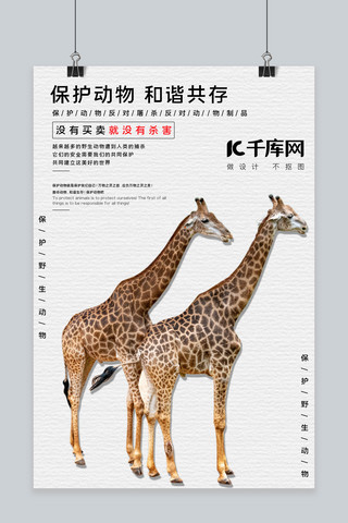 自然和谐海报模板_善待动物长颈鹿白色简约海报