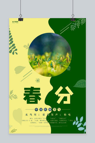 春分植物绿色创意海报