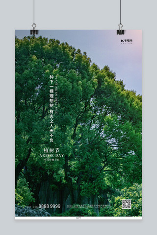 植树节森林海报模板_植树节森林绿色写实海报