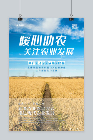水稻种子包装海报模板_暖心助农稻田蓝色摄影图海报