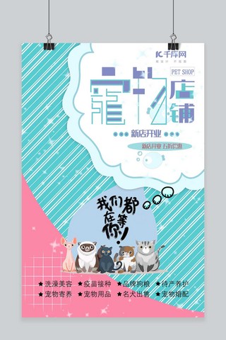 美容宠物海报海报模板_宠物商铺新店粉蓝简约海报