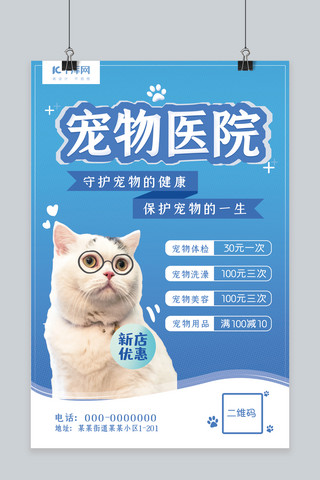 猫咪蓝色海报模板_宠物医院猫猫蓝色清新风海报