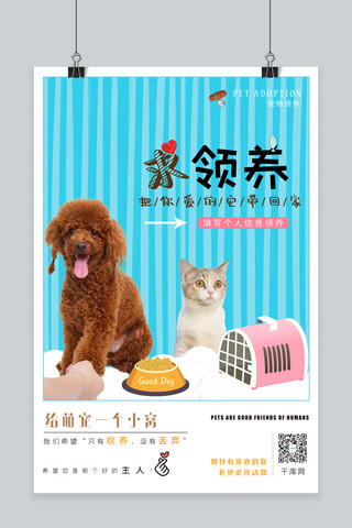 宠物领养海报模板_宠物领养领养猫猫狗狗蓝色简约条纹海报