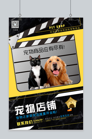 宠物店铺电影胶片背景拼色创意个性海报