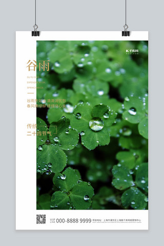 雨水谷雨海报模板_谷雨绿叶绿色写实海报