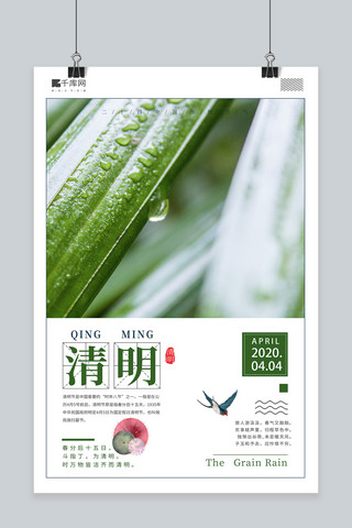 简约风植物海报模板_清明节植物雨水绿色简约风海报