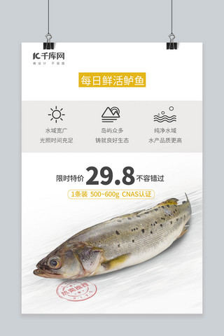 淡水鲈鱼海报模板_生鲜限时特价鲈鱼白色促销风海报