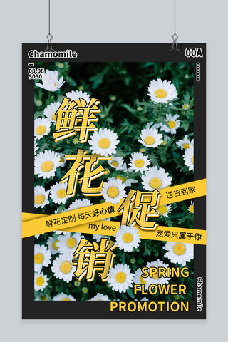 鲜鲜花海报模板_鲜花花店新品上新小白菊黄色白色绿色促销风海报