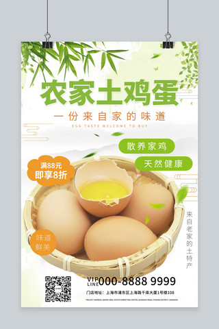 美味摄影海报模板_农家土鸡蛋土特产促销绿色创意海报