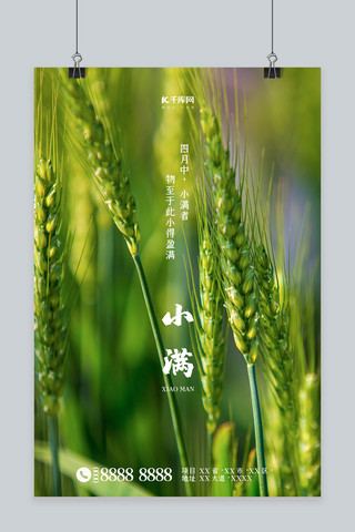 线条小麦海报模板_二十四节气小满小麦绿色简约海报