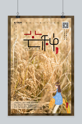 芒种水稻暖色系写实大气风海报
