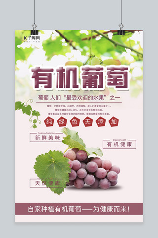 葡萄丰收节海报模板_有机葡萄葡萄红色简约海报
