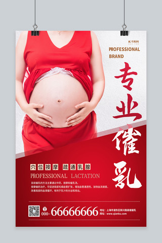 专业催乳摄影图红色简约创意海报