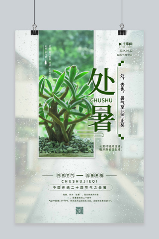 绿植盆栽海报模板_处暑植物绿色简约海报