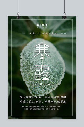 寒露植物海报模板_寒露节气植物绿色简约海报