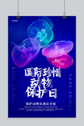 世界动物日水母蓝色创意海报
