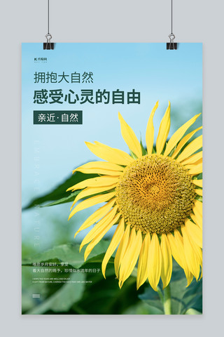 文艺自然植物向日葵蓝色简约海报