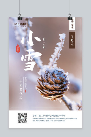 摄影雪海报模板_小雪雪落植物暖色简约海报