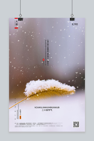 大寒雪花海报模板_大寒雪棕色创意海报