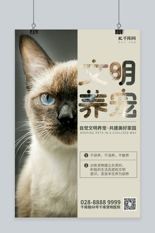 文明养宠物猫灰色简约海报