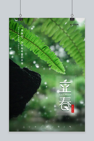 雨后小草海报模板_立春小草水珠绿色摄影图节气海报