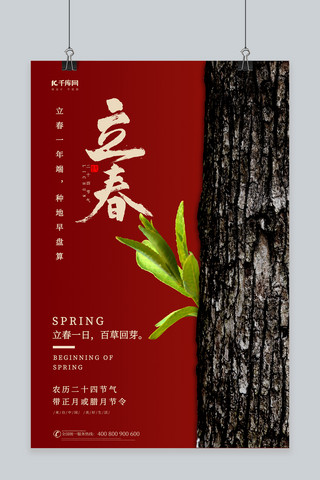 夜景树木海报模板_立春树木红色中国风海报