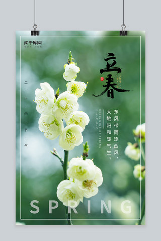 立春春季花朵绿色摄影图节气海报