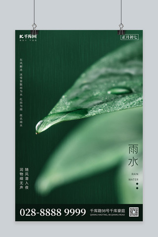 雨水露珠叶子绿色简约海报