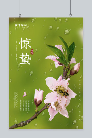 惊蛰桃花 蜜蜂 雨水青色简约风海报