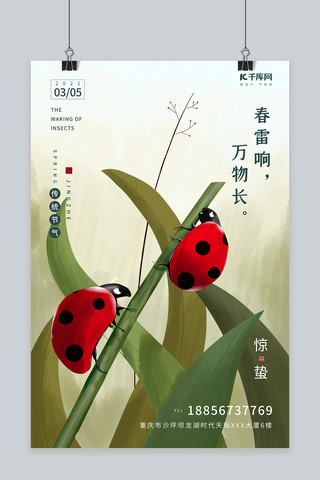 惊蛰春天瓢虫植物绿色插画节气海报