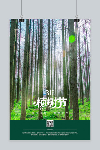 植树节森林绿色简约海报
